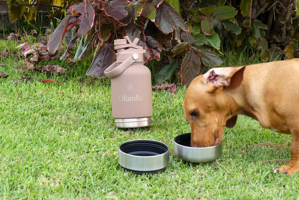 Olandia Thermal Bottle Duo - Dusk
