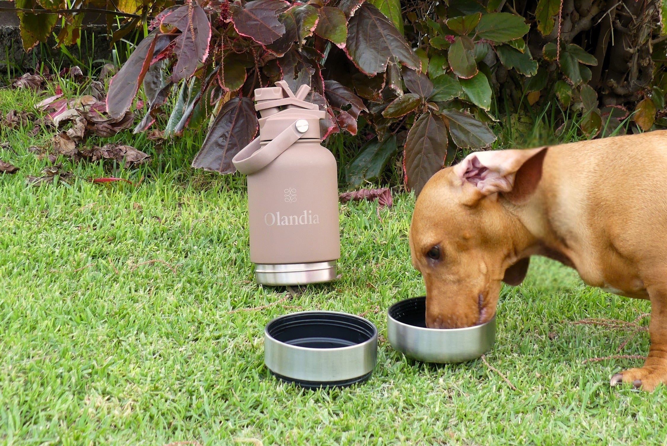 Olandia Thermal Bottle Duo - Dusk