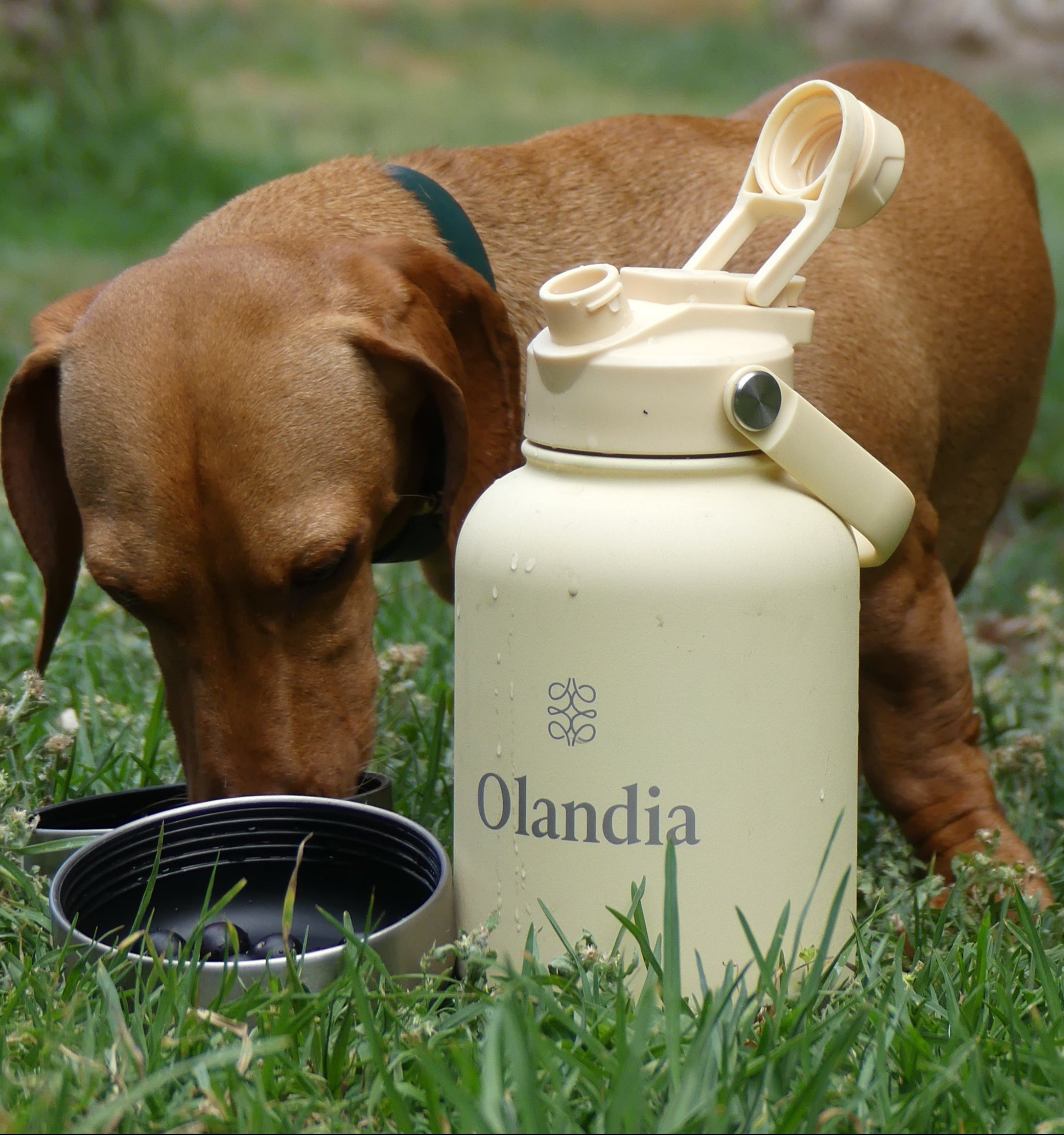 Olandia Termoflaske Duo - Cream