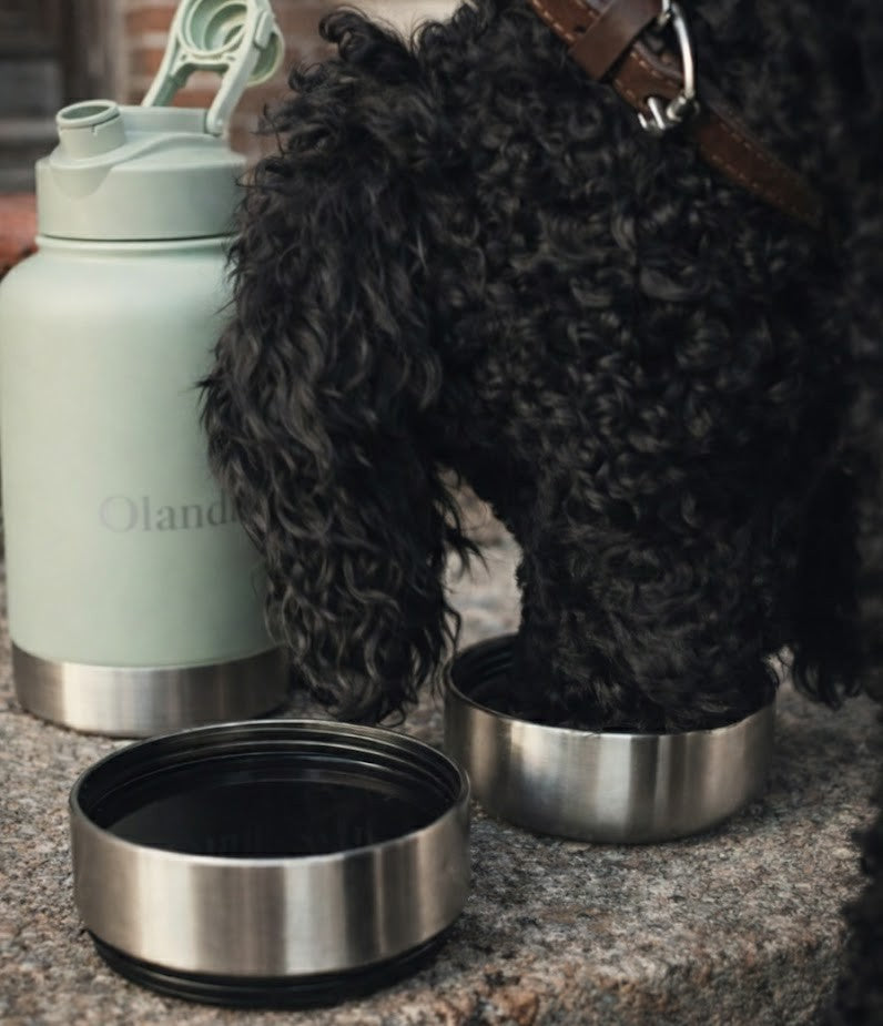 Olandia Termoflaske Duo - Sage