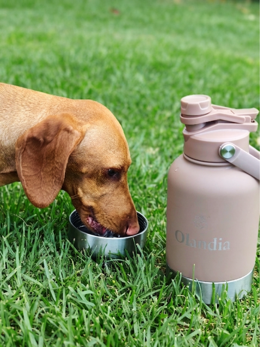 Olandia Thermal Bottle Duo - Dusk