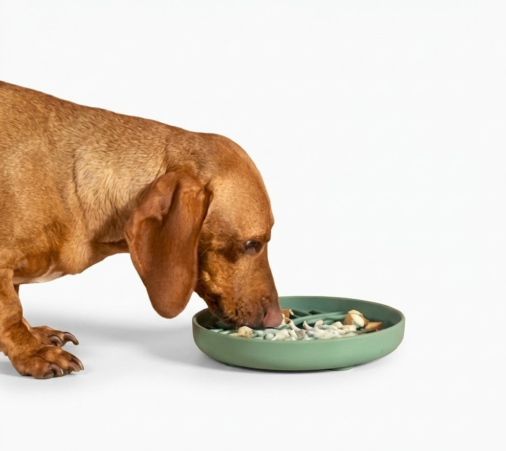 ZenBowl - Dessert Rose